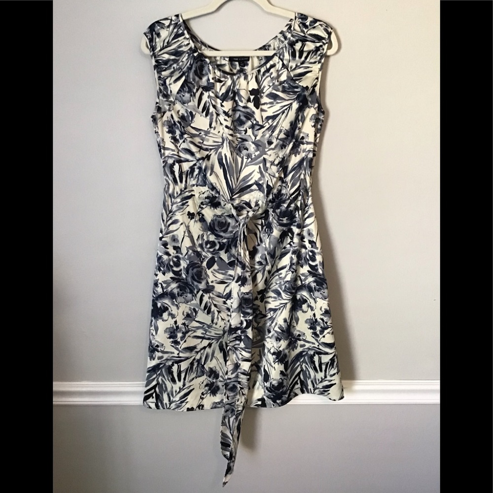 The Limited Dress